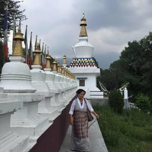 Meet your Posher, Tenzin